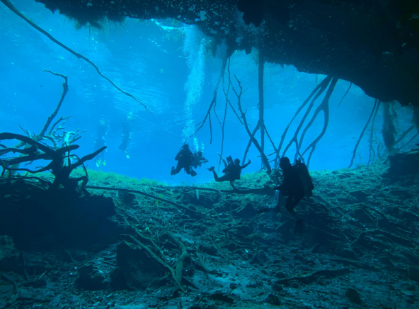 Scuba Diving in Maldives